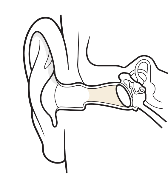 Diagram of ear