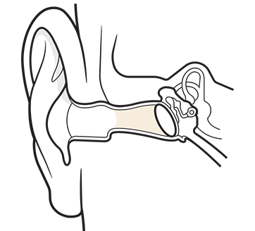 Diagram of ear